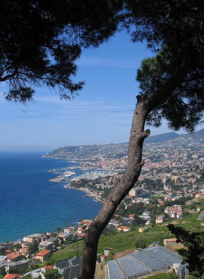 Maison Du Port Vieux Lägenhet Sanremo Exteriör bild